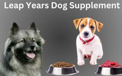 Leap Years Dog Supplement | Varieties, Ingredients & Benefits